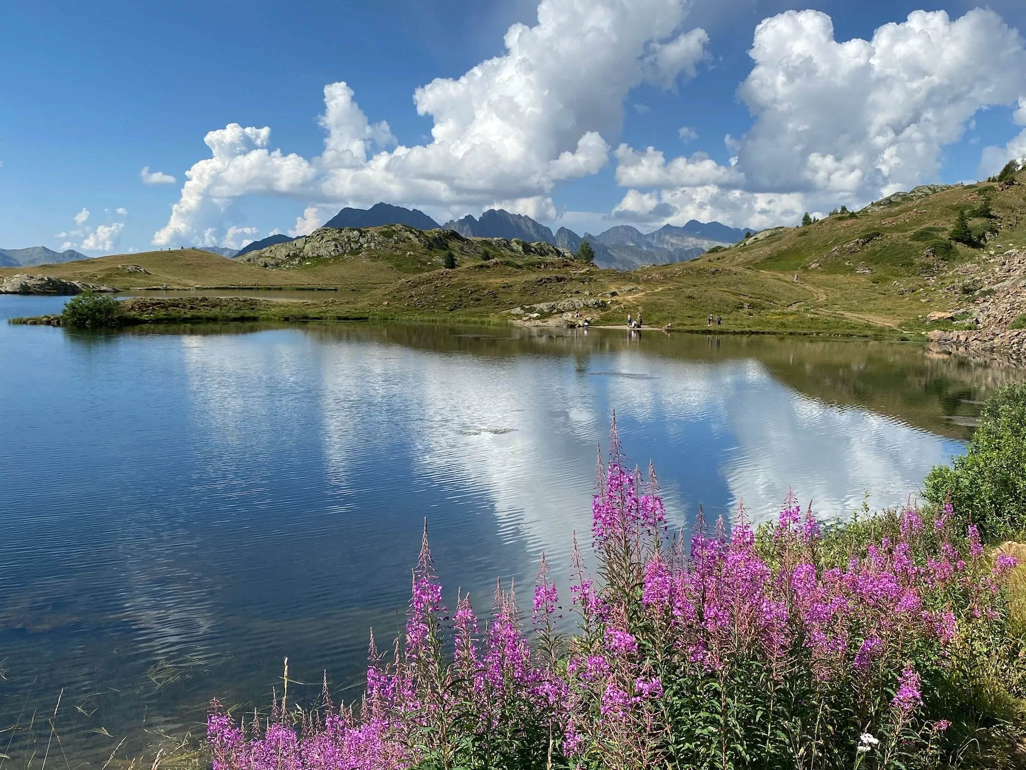 Les montagnes l'été